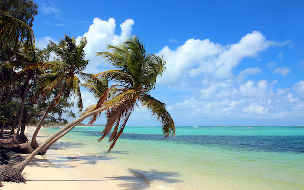 Bavaro Beach near Secrets Tides Punta Cana with palm-lined shores and turquoise Caribbean waters